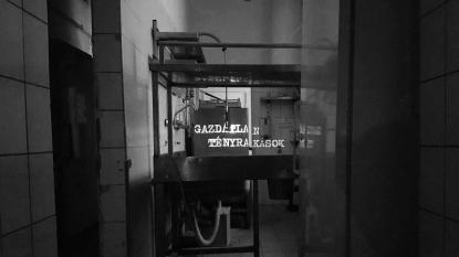 Gazdátlan tényrakások – Petri-tér